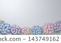 Hydrangea paper cutout: Blue, purple, and pink hydrangeas with raindrops at the bottom of the screen, against a rainy season background. 143749162