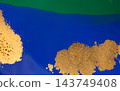 Abstract Original Handdrawn Blue and Gold Artwork Liquid Inks Illustration 143749408