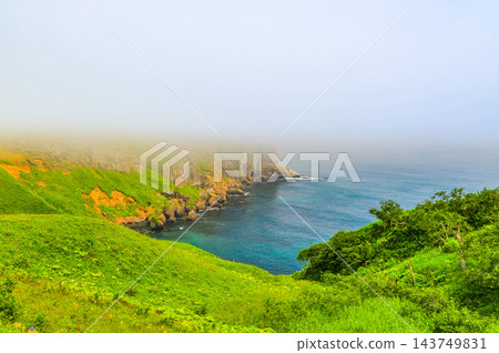 從夏岬和花霧路觀景台,您可以欣賞到令人嘆為觀止的全景,俯瞰霧氣繚繞的大海、鬱鬱蔥蔥的綠色土地和海岸線。 從夏岬和花霧路觀景台,您可以欣賞到令人嘆為觀止的全景,俯瞰霧氣繚繞的大海、鬱鬱蔥蔥的綠色土地和海岸線。 143749831
