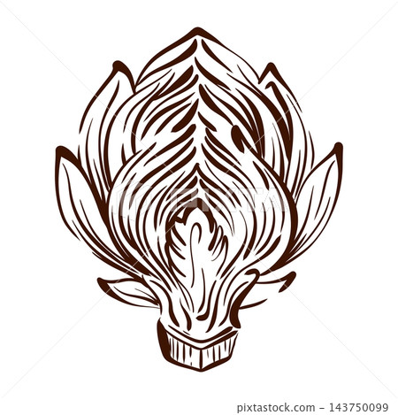 Artichoke cross section vector illustration reveals tightly layered inner bracts and a central core, rendered in expressive botanical line art with fine contours and natural symmetry Artichoke cross section vector illustration reveals tightly layered inner bracts and a central core, rendered in expressive botanical line art with fine contours and natural symmetry 143750099