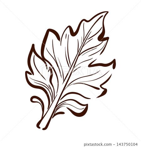 Artichoke leaf vector illustration highlights a deeply lobed blade, jagged edges and prominent central veins, drawn in expressive botanical contours for a detailed plant study Artichoke leaf vector illustration highlights a deeply lobed blade, jagged edges and prominent central veins, drawn in expressive botanical contours for a detailed plant study 143750104