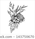 A bouquet of flowers and herbs. Peony. Hand-drawn botanical illustration of a detailed flower with layered petals, leaves, and delicate wild grasses in vintage black and white engraving style. EPS 10 143750670