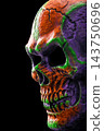 Halloween human skull isolated on black background with clipping path 143750696