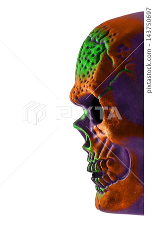 Halloween human skull isolated on white background with clipping path Halloween human skull isolated on white background with clipping path 143750697