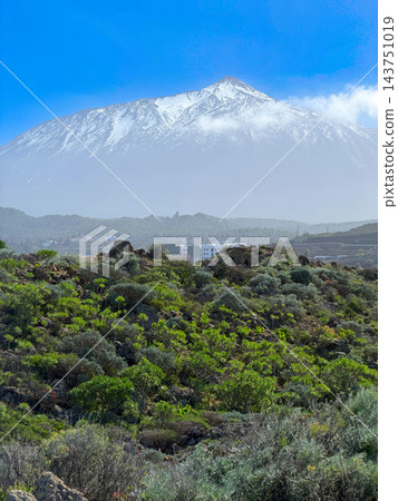 volcano Teide, Tenerife, Spain 143751019