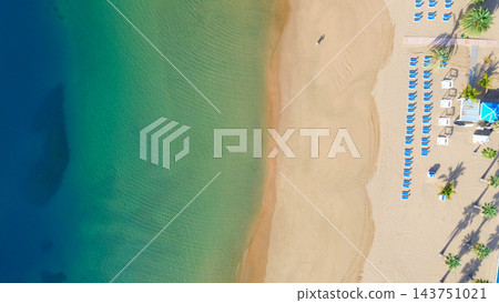 palms of las Teresitas beach, Tenerife, Spain palms of las Teresitas beach, Tenerife, Spain 143751021