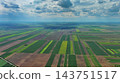 Aerial view of green agricultural fields and farmland 143751517