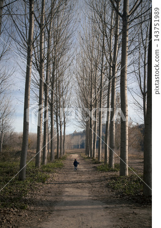 Child walking alone on a path in winter forest Child walking alone on a path in winter forest 143751989