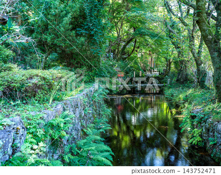 中山道鮫井旅館的風景 中山道鮫井旅館的風景 143752471