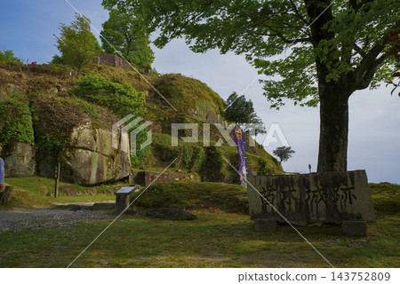 苗木城建於一塊巨石之上 苗木城建於一塊巨石之上 143752809