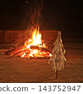 2025 年 11 月 15 日，在神秘的加茂神社，人們表演了傳統的堀口獅舞作為祭品。 143752947