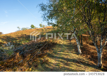 日本兵庫縣上野山高原美麗的秋景 143753028