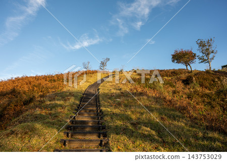 日本兵庫縣上野山高原美麗的秋景 日本兵庫縣上野山高原美麗的秋景 143753029