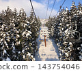 白雪皚皚的森林和風景優美的滑雪纜車 143754046