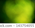 Defocused green abstract background. Blurred plant. Bokeh. 143754055