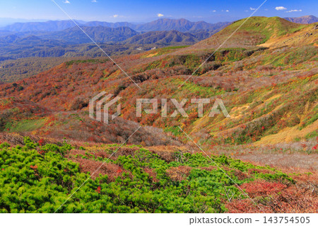 栗駒山的秋葉美景 栗駒山的秋葉美景 143754505