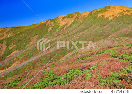 栗駒山的秋葉美景 栗駒山的秋葉美景 143754506