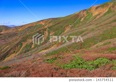 栗駒山的秋葉美景 栗駒山的秋葉美景 143754511