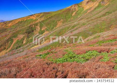 栗駒山的秋葉美景 栗駒山的秋葉美景 143754512