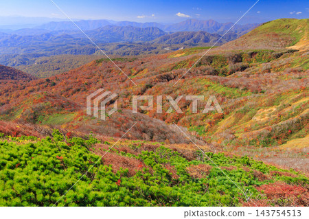 栗駒山的秋葉美景 143754513