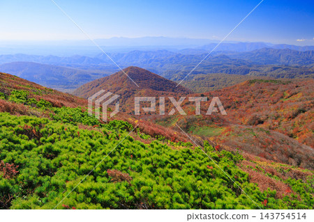 栗駒山的秋葉美景 栗駒山的秋葉美景 143754514