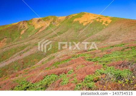 栗駒山的秋葉美景 栗駒山的秋葉美景 143754515