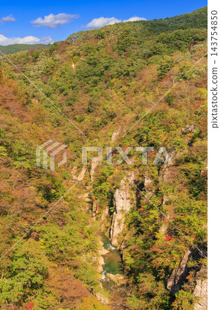 宮城縣鳴子峽谷,秋色絢麗。 宮城縣鳴子峽谷,秋色絢麗。 143754850