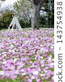 Cosmos 143754938