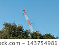 Cranes under the autumn sky 143754981
