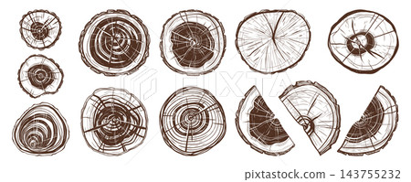 Wood slices combine concentric annual rings with cut segments cracked stump details hand drawn set Wood slices combine concentric annual rings with cut segments cracked stump details hand drawn set 143755232