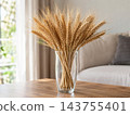 Barley wheat in the glasses vase for home decoration 143755401