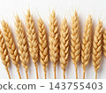 Barley wheat in the glasses vase for home decoration 143755403