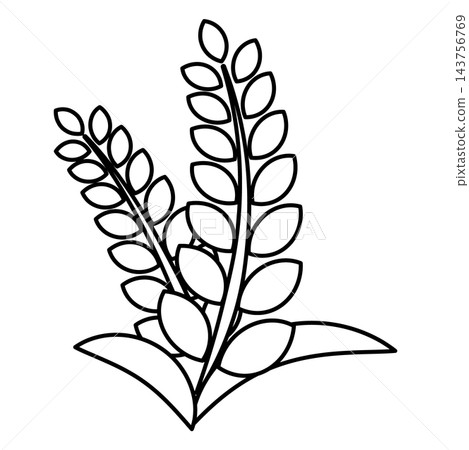 Rice icon, harvest, autumn, rice, paddy field, rice farming, agriculture, new rice, black and white, single item, vector illustration Rice icon, harvest, autumn, rice, paddy field, rice farming, agriculture, new rice, black and white, single item, vector illustration 143756769