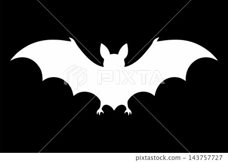 Symmetrical White Bat Silhouette Isolated on Black Background Symmetrical White Bat Silhouette Isolated on Black Background 143757727