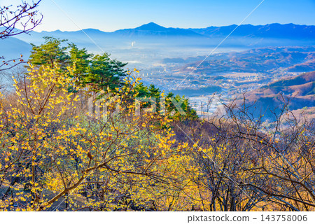 這張令人嘆為觀止的新年景色照片拍攝於冬季的寶度山,展現了秩父市的城鎮風光和武高山脈籠罩在晨霧之中,盛開的冬梅在初升的陽光下熠熠生輝。 這張令人嘆為觀止的新年景色照片拍攝於冬季的寶度山,展現了秩父市的城鎮風光和武高山脈籠罩在晨霧之中,盛開的冬梅在初升的陽光下熠熠生輝。 143758006