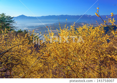這張令人嘆為觀止的新年景色照片拍攝於冬季的寶度山,展現了秩父市的城鎮風光和武高山脈籠罩在晨霧之中,盛開的冬梅在初升的陽光下熠熠生輝。 這張令人嘆為觀止的新年景色照片拍攝於冬季的寶度山,展現了秩父市的城鎮風光和武高山脈籠罩在晨霧之中,盛開的冬梅在初升的陽光下熠熠生輝。 143758007