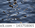 Abstract water surface background material that captures the refraction and reflection of light. Abstract water surface background material that captures the refraction and reflection of light. 143758065