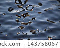 Abstract water surface background material that captures the refraction and reflection of light. Abstract water surface background material that captures the refraction and reflection of light. 143758067