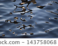 Abstract water surface background material that captures the refraction and reflection of light. Abstract water surface background material that captures the refraction and reflection of light. 143758068