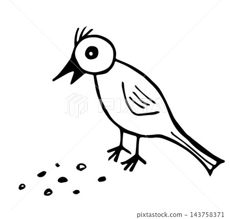 Simple hand-drawn vector drawing in black outline. Little bird pecks grain. Nature, ornithology. Simple hand-drawn vector drawing in black outline. Little bird pecks grain. Nature, ornithology. 143758371