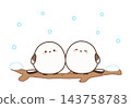 Two long-tailed tits perched on a snow-covered branch. 143758783