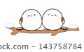 Two long-tailed tits perched on a snow-covered branch. 143758784
