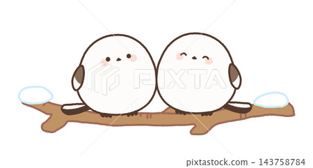 Two long-tailed tits perched on a snow-covered branch. 143758784