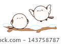 Two long-tailed tits spending time on snow-covered branches. 143758787