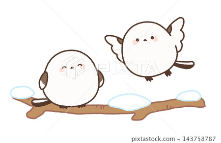 Two long-tailed tits spending time on snow-covered branches. Two long-tailed tits spending time on snow-covered branches. 143758787