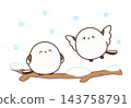 Two long-tailed tits spending time on a snow-covered branch. 143758791