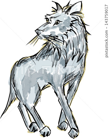 Wolf watercolor-style illustration (png) Wolf watercolor-style illustration (png) 143759017