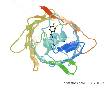 GFP（綠色螢光蛋白）的三維結構：β桶中心的生色團；從上方觀察的帶狀模型；透明背景。 143760174