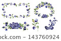 Watercolor bilberry set with berries, greenery branches and green leaves isolated. Frame, wreath and splash elements for food packaging hand drawn. Forest berry illustration for superfood branding. 143760924