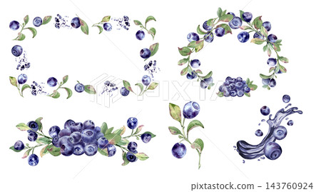 Watercolor bilberry set with berries, greenery branches and green leaves isolated. Frame, wreath and splash elements for food packaging hand drawn. Forest berry illustration for superfood branding. Watercolor bilberry set with berries, greenery branches and green leaves isolated. Frame, wreath and splash elements for food packaging hand drawn. Forest berry illustration for superfood branding. 143760924